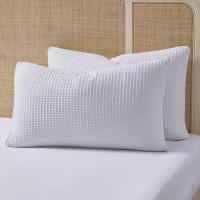 ANCH02666